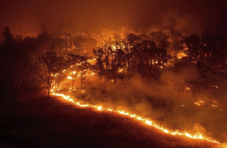MAE informează: se prelungește starea de alertă în Portugalia privind riscurile de producere a incendiilor de vegetație - incendiuvegetatie-1691565984.jpg