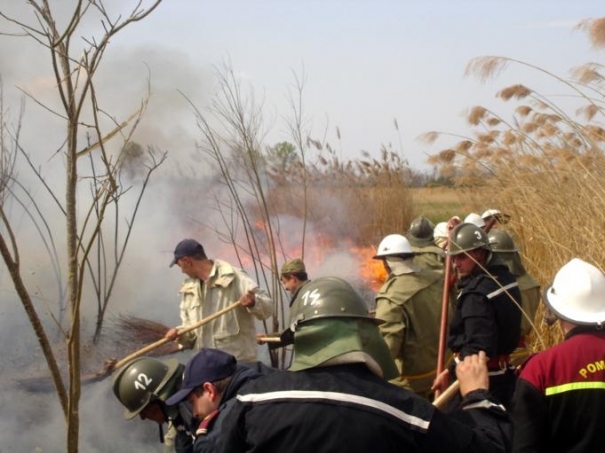 Incendiul de la complexul Razim – Sinoe / Pompierii au primit întăriri - incendiuvegetatieuscatab-1315592400.jpg