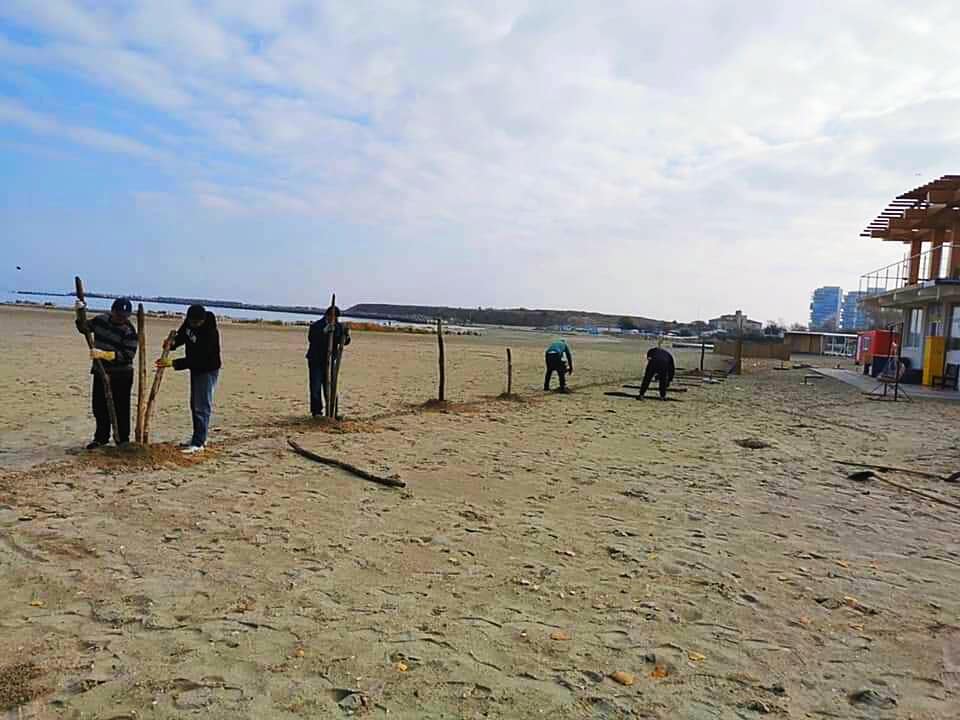 A început montarea gardurilor de stuf pe plajele de pe litoral - inceputmontarea-1605873818.jpg