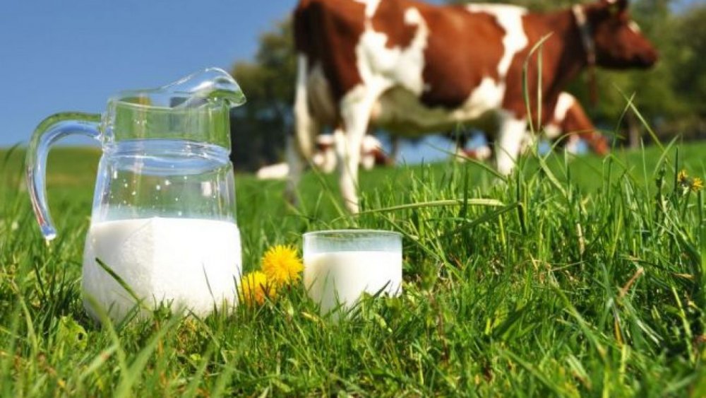 Industria laptelui merge din inerţie - industrialapteluimaimult-1605804914.jpg