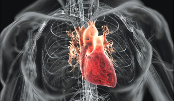 OMS: Bolile de inimă, principala cauză de deces în lume - inima-1374678495.jpg