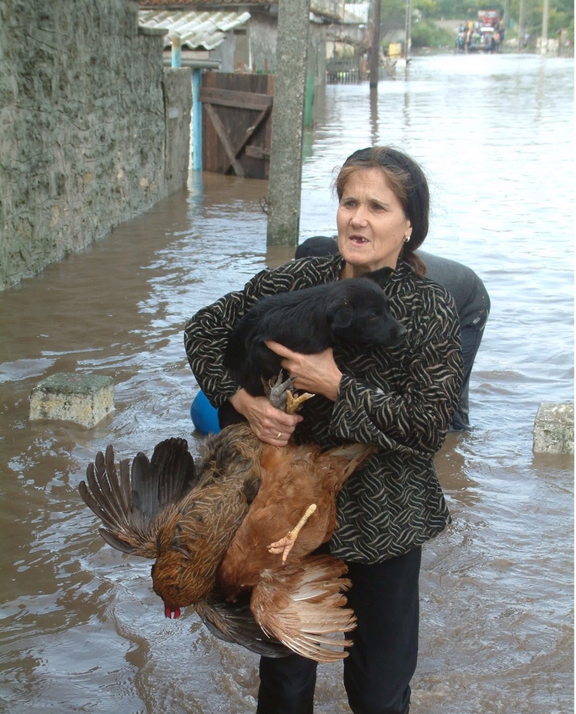 DEZASTRUL CONTINUĂ! Peste 60 de gospodării, inundate în comuna Peștera - inundatii-1371219245.jpg