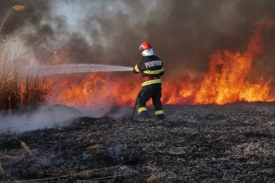 ISU Constanța atrage atenția că este interzisă arderea miriștilor, a stufului s-au vegetației ierboase - isu-arderi-miristi-1715174429.jpg