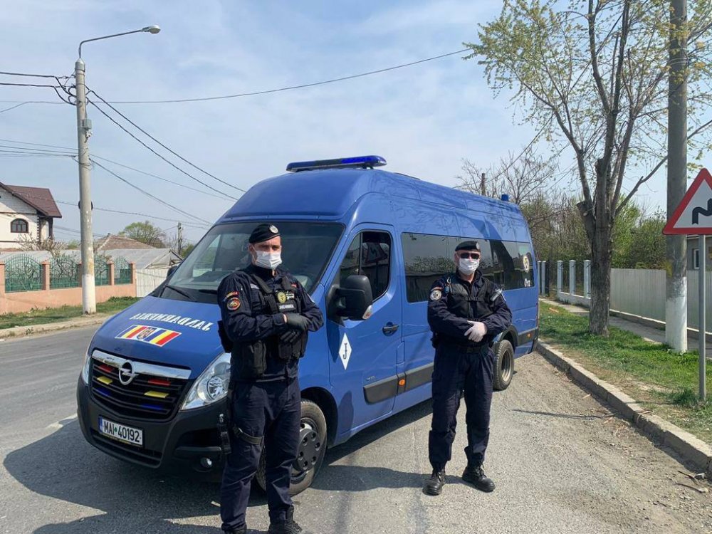 Jandarmii din Constanța își ajută colegii din Călărași și Ialomița - jandarmicalarasisursagmjtomis3-1586698911.jpg