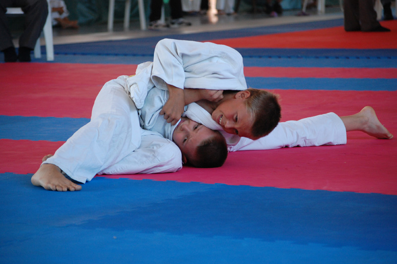 Să vină medaliile de pe tatami! - judo-1371226006.jpg