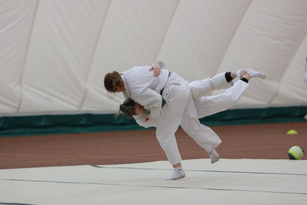 Judo: România a cucerit două medalii la Europene de veterani - judo3-1433152152.jpg
