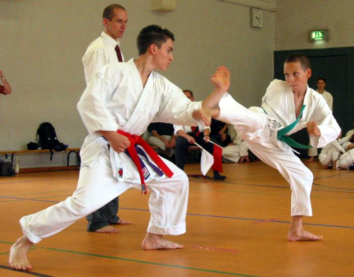 Karatiștii merg la Râmnicu Vâlcea - karate-1393269985.jpg