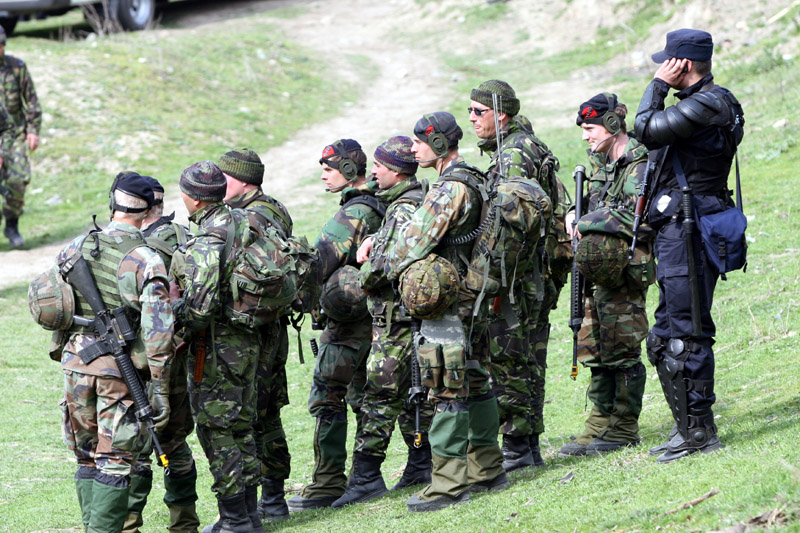 Exercițiu militar multinațional NATO la Babadag - kogalniceanuarmatamilitari136560-1432028986.jpg