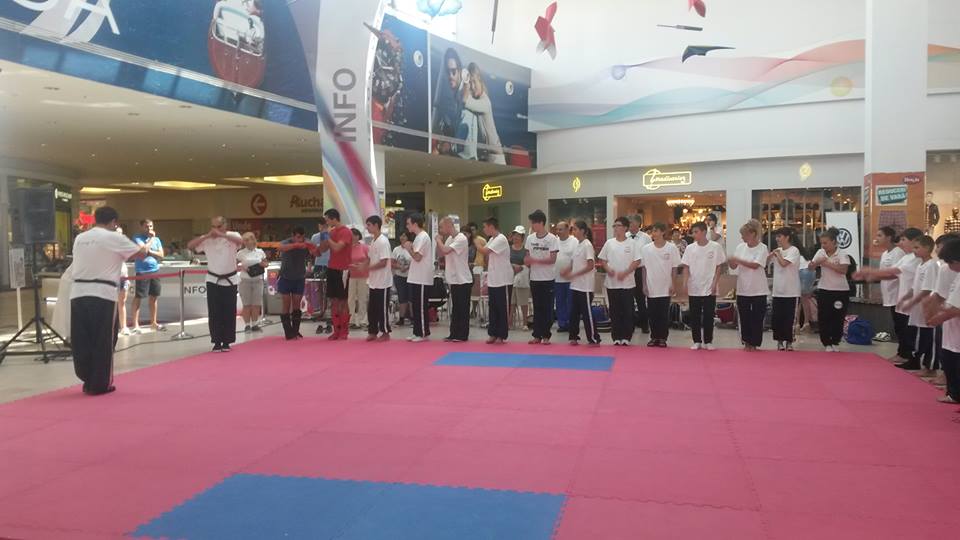 Kung-Fu: Au început înscrierile pentru Campionatul Național de la Constanța - kungfu-1436348628.jpg