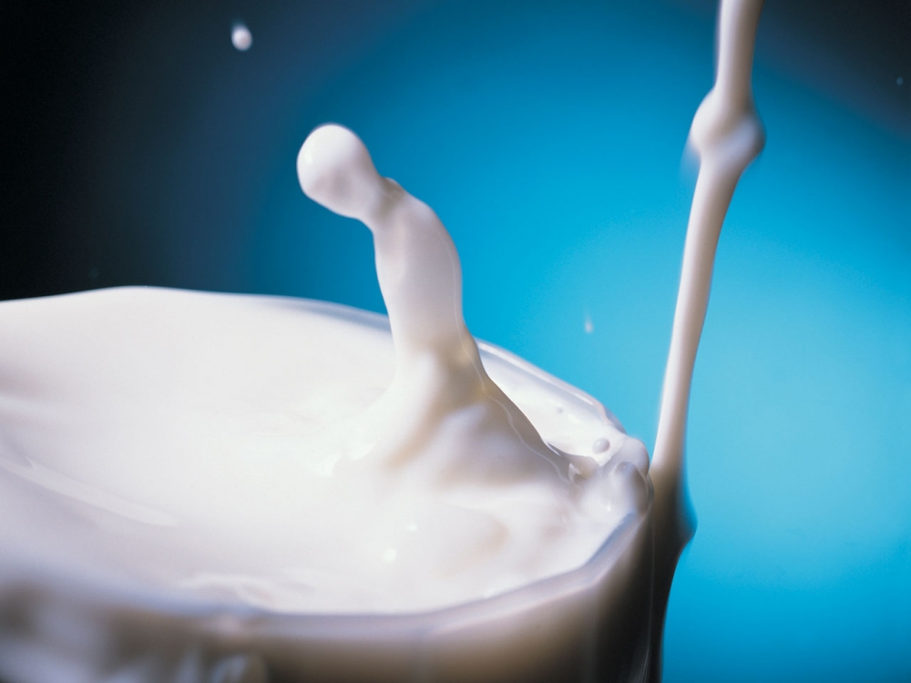 APIA / Anunț important pentru producătorii și cumpărătorii de lapte - lapte-1363249732.jpg