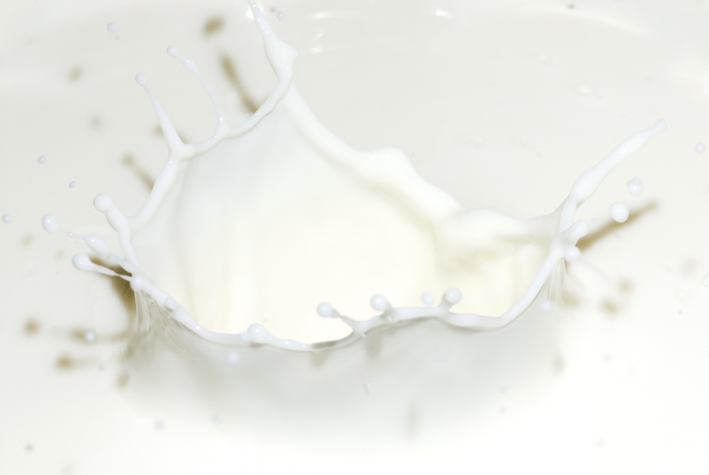 Risc de botulism. China a interzis importul de lapte neozeelandez - lapte-1375624160.jpg