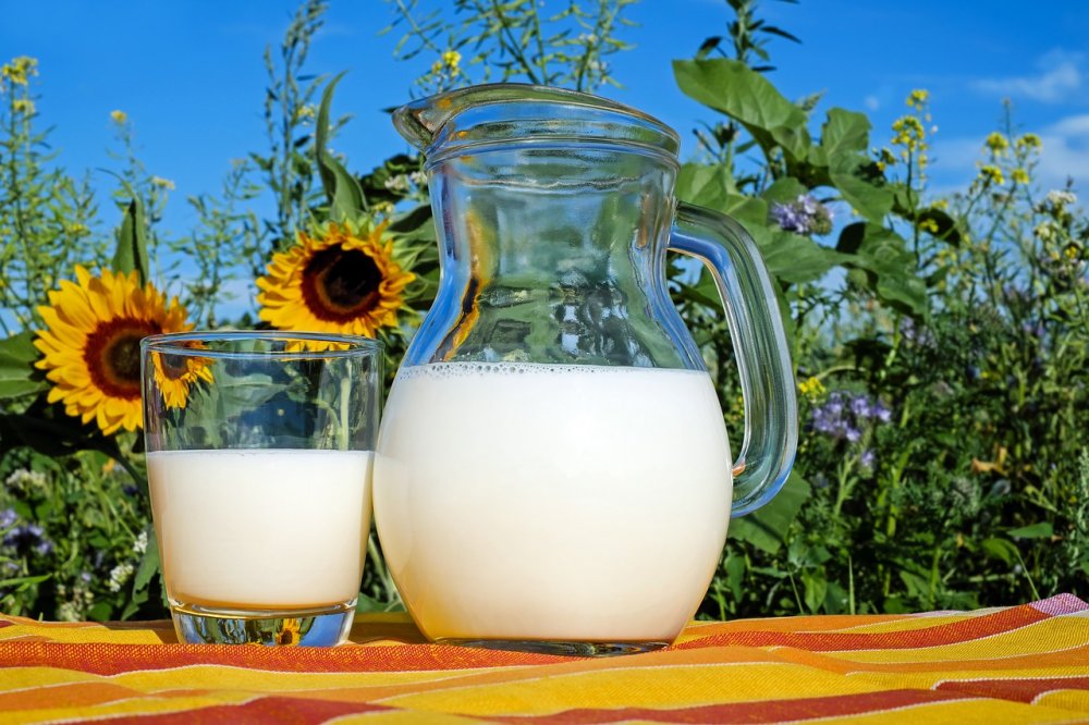 Laptele din semințe de floarea soarelui are o putere antioxidantă ridicată - lapte-1675175616.jpg