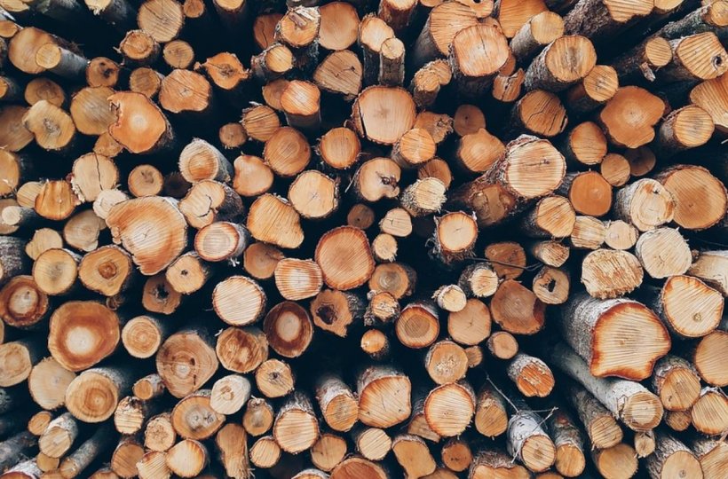 Românii sunt speriaţi că nu vor avea gaz suficient. Cerere mare pentru lemne de foc, scumpiri de până la 40% - lemn-1661180648.webp