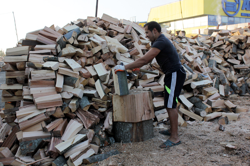 Cât ne costă lemnele de foc pentru iarnă - lemne-1351004668.jpg