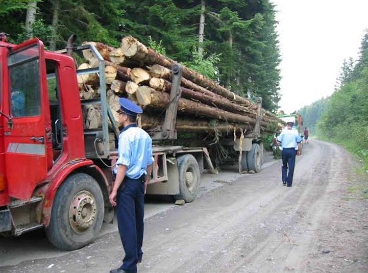 Trafic cu lemn în porturile Constanța și Constanța Sud-Agigea. Ce spune MAI - lemne-1474022760.jpg