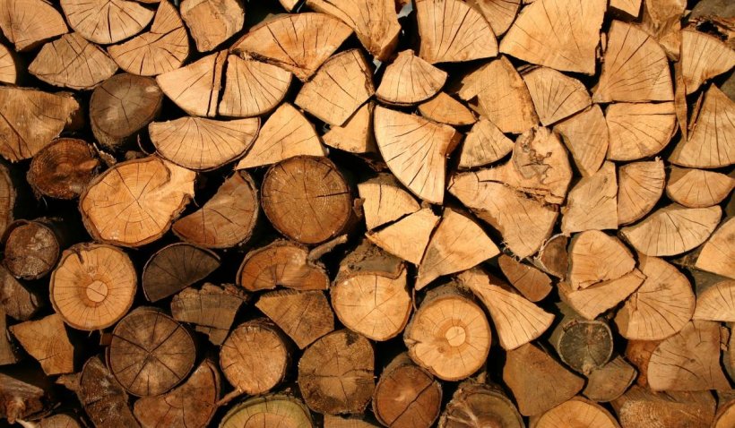 Romsilva, mesaj pentru românii care se încălzesc cu lemne. Cum ar putea fi ajutați să se aprovizioneze - lemne-1641490814.jpg