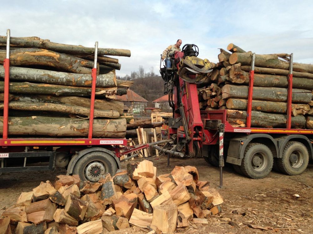 Romsilva pune la dispoziția populației peste un milion de metri cubi de lemn pentru foc - lemnedefoc-1599066121.jpg