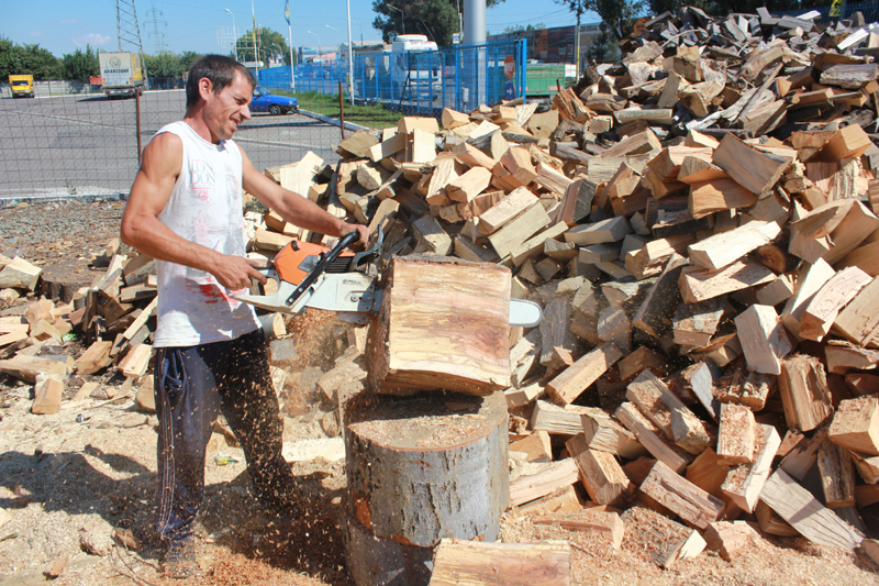 Cât ne costă lemnele de foc anul acesta - lemnedefoc3-1378753773.jpg