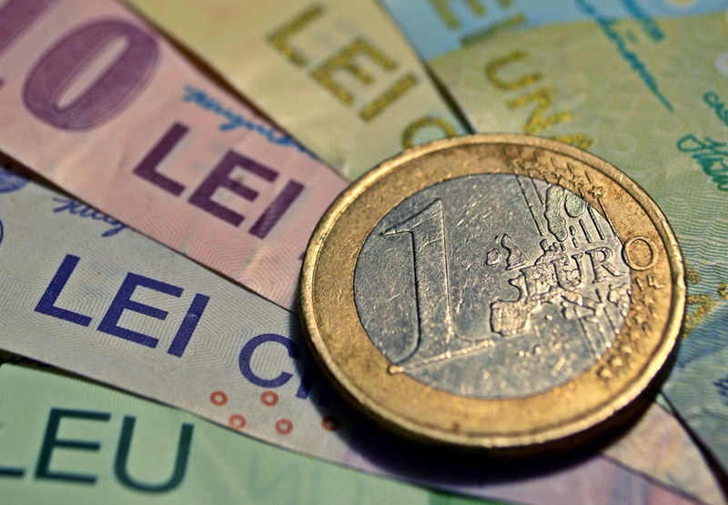 Euro a pierdut 0,09% în competiția cu leul - leul-1519919638.jpg