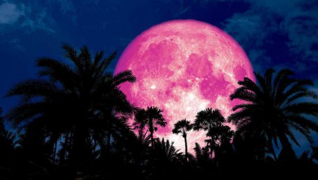 Luna roz 2019. Fenomenul care ne va ține cu ochii pe cer - lunaroz05357600-1555445718.jpg