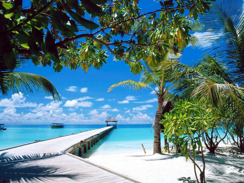 Pe culmile Insulelor Maldive - maldive-1333121136.jpg