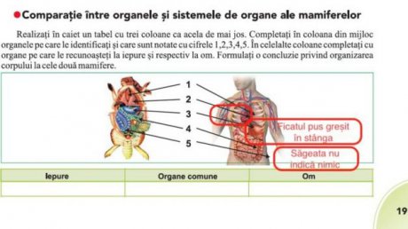 Ministerul Educației își asumă și eșecul manualului de biologie, va tipări erate - manualbiologiegreseliinima644912-1536080827.jpg
