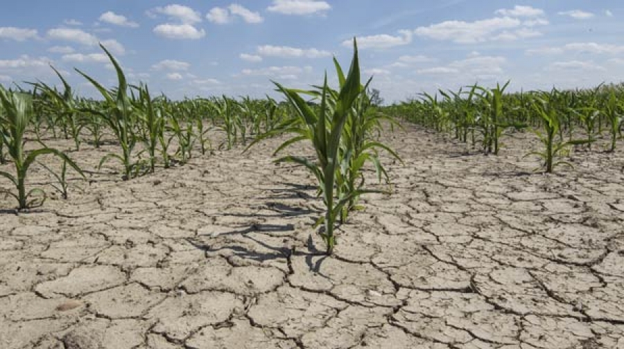 Măsurile de mediu și climă aplicabile pe terenurile agricole, finanțate din fonduri europene - masuriledemediusiclimapentruagri-1488816209.jpg