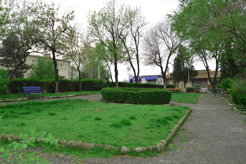 Administrația publică a reabilitat parcurile și spațiile verzi din Medgidia - medgidiaadministratiaparcuri01-1458758164.jpg