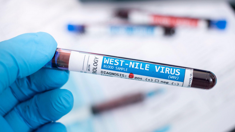 INSP: 28 de cazuri de infecţie cu virusul West Nile, înregistrate până în 30 august - mgqznduyyzfmnda4othkmta3yzfmmtfm-1693640378.jpg