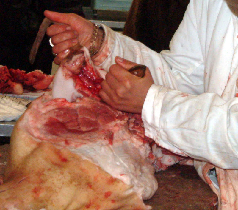 Mii de kilograme de carne, confiscate de inspectorii sanitar-veterinari - miidetonedecarne-1416421243.jpg