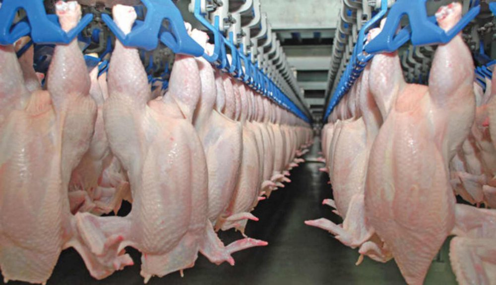 Ministerul Agriculturii se contrează cu presa pe tema prețurilor la carne și ouă - ministerulagriculturiisecontreaz-1556026737.jpg