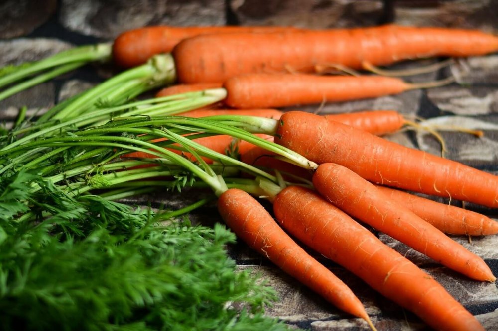 Fibrele din morcovi contribuie la prevenirea constipației - morcovi-1626112255.jpg
