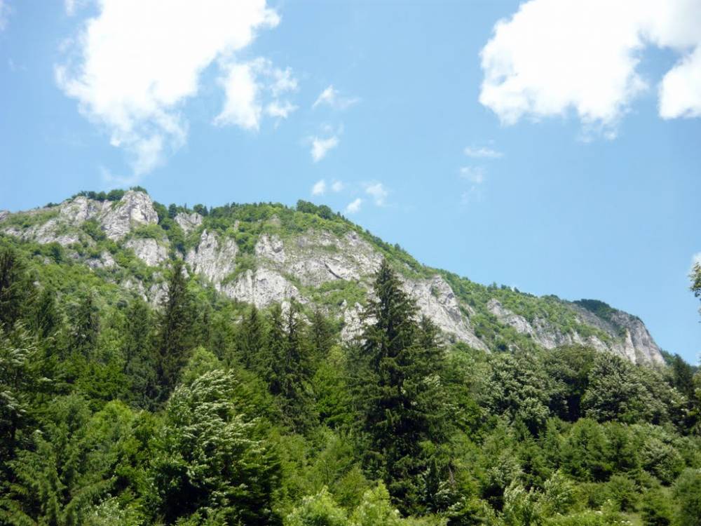 Epava planorului dispărut în luna august a fost găsită în județul Brașov - muchia-1448107229.jpg