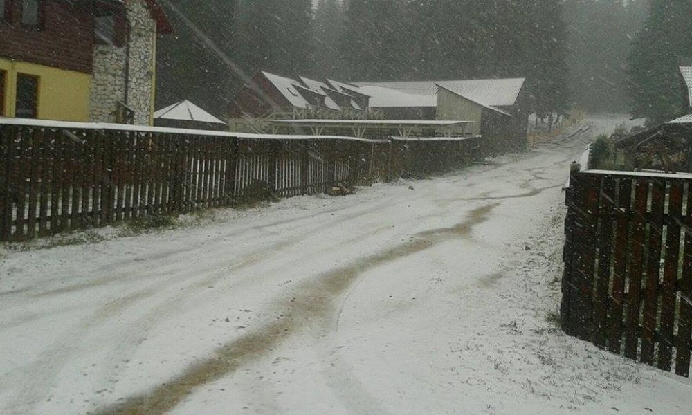 Lapoviță și ninsoare în munții Rodnei, la peste 1.200 de metri altidudine - muntiirodnei-1632320090.jpg