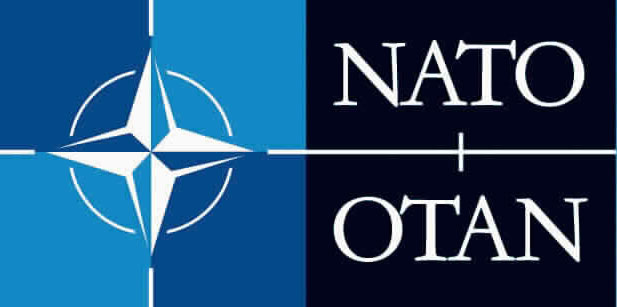 Record de atacuri cibernetice asupra NATO - nato-1487425452.jpg