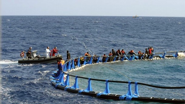 Bilanțul naufragiului din Mediterana a ajuns la 800 de morți - naufragiati04923800-1429598910.jpg