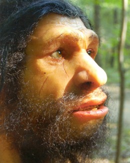 Test / Ești un Neanderthal? - neanderthalman11325683703-1325754282.jpg