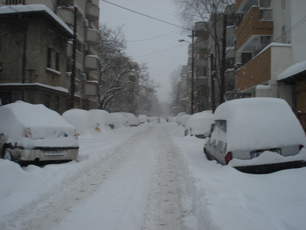 COD PORTOCALIU / Viscol și ninsori abundente, la Constanța - ninsoare-1329202610.jpg