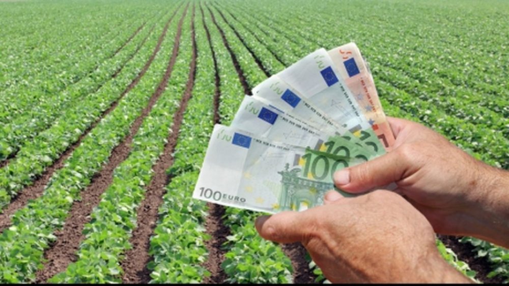 Noi finanțări pentru agenții economici din sectorul agroalimentar - noifinantaripentruagentiieconomi-1653402620.jpg