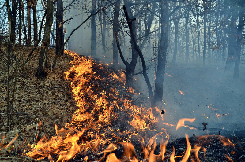 Numărul incendiilor provocate intenționat în județul Constanța, în creștere - numarul-1468341784.jpg