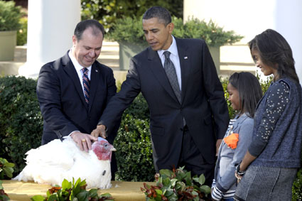 Barack Obama a grațiat doi curcani,  de Ziua Recunoștinței - obama-1385559641.jpg