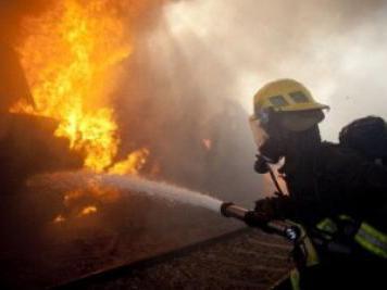 Zeci de animale salvate dintr-un incendiu în satul Negrești - ofetitadedoianiamuritdupacecasai-1346060329.jpg