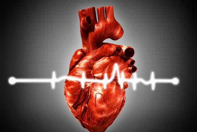 Constanța ar putea intra în programul de infarct miocardic - oinimaartificialaaproapeperfecta-1404770231.jpg