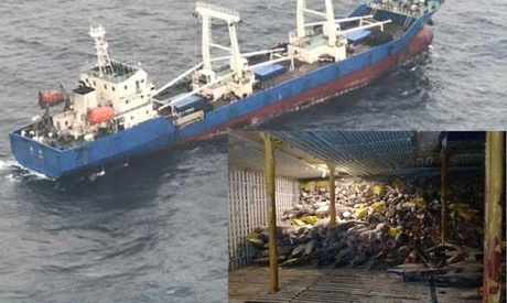 O navă frigorifică chinezească a fost arestată în Ecuador - onavaarestataecuador-1502880925.jpg