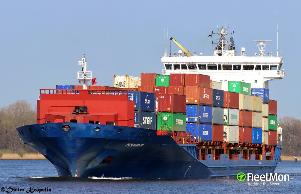 O navă portcontainer a omorât un delfin și a rănit alți doi - onavaportcontaineraomoratundelfi-1603099534.jpg