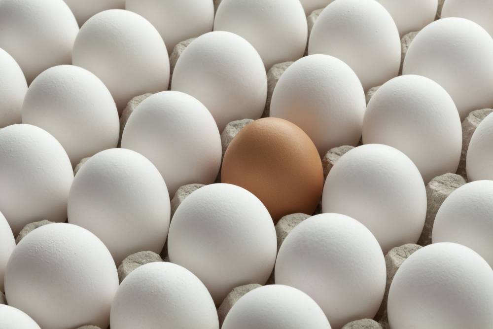 Milioane de ouă, retrase de pe piață, după ce au fost contaminate cu pesticid - oua-1501590060.jpg