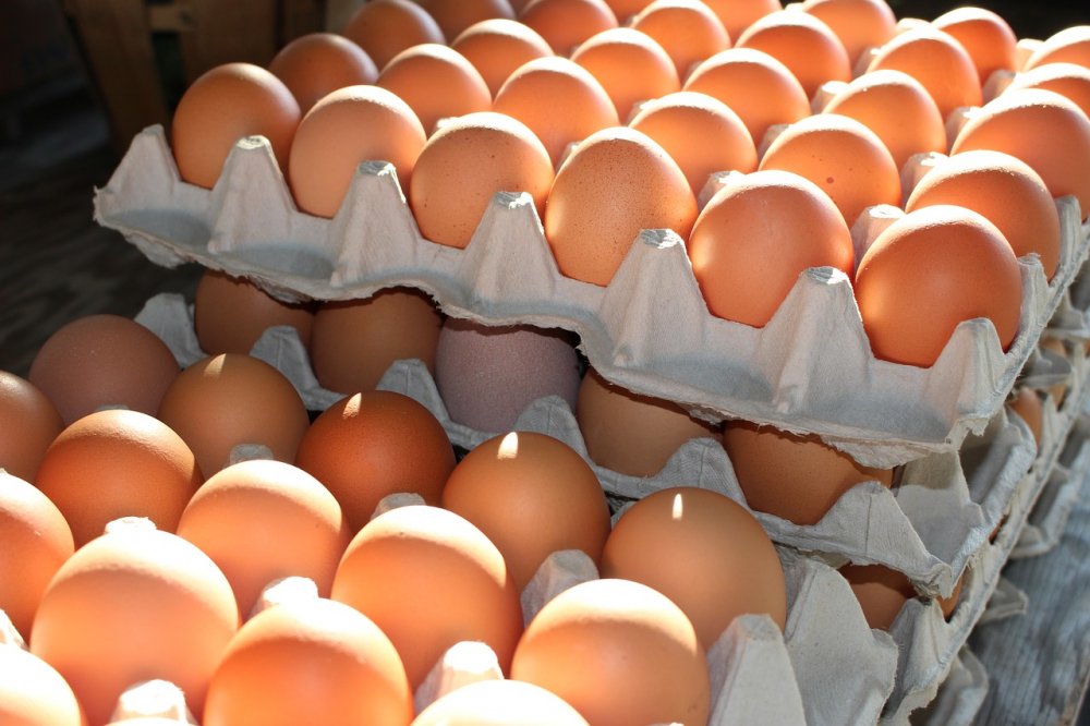 Restricţii la achiziţiile de ouă în Marea Britanie, din cauza gripei aviare - oua-1668701485.jpg