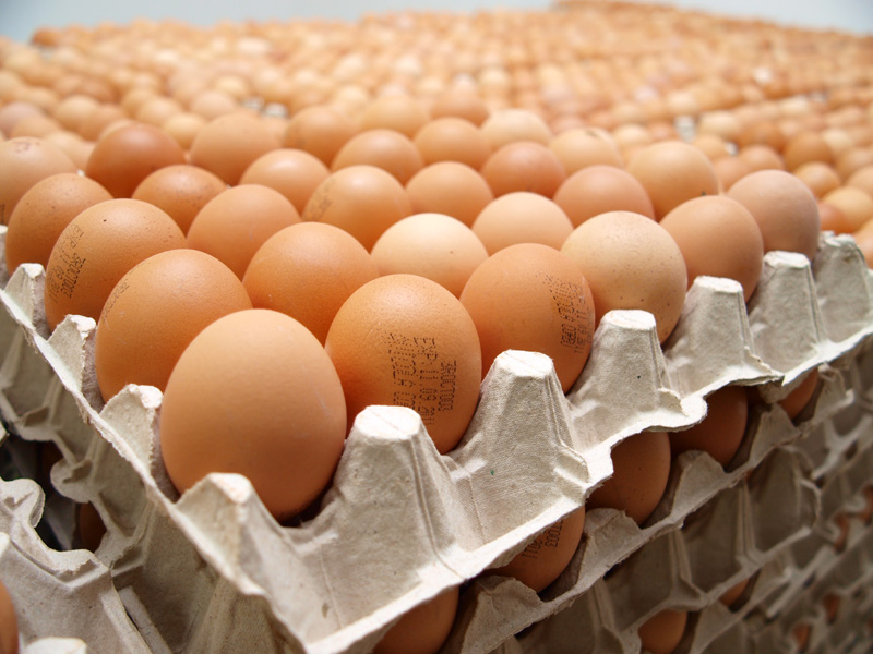 Cu cât crește prețul ouălor de la producător, la raft - ouaferma-1367164868.jpg