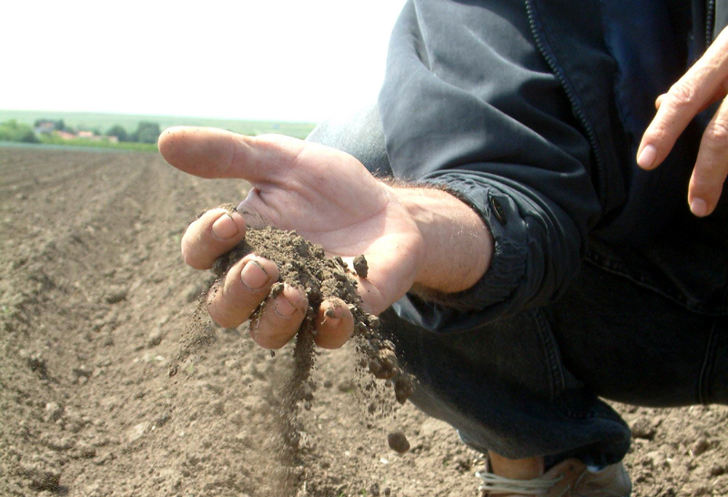 Agricultorii constănțeni pot sta liniștiți. Nivelul de umiditate din sol este unul optim - pamant-1360683981.jpg