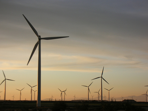 Centralele eoliene ar putea duce la scumpirea energiei electrice - parceoliandobrogea1-1315396089.jpg